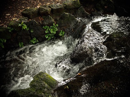P0260013 P0260013